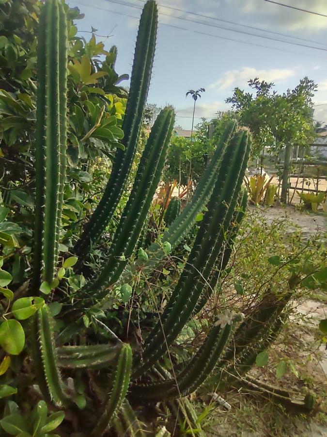 Pousada Quintal Dos Sonhos Xando Caraíva Kültér fotó